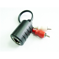 Cat5 - to 2 RCA Male Plugs Adapter