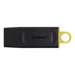 Flash Disk - Kingston - USB 3.2 - 128 GB